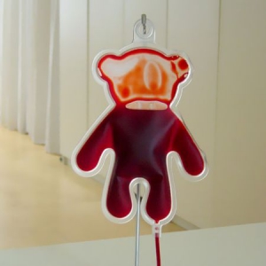 可爱的泰迪熊血袋