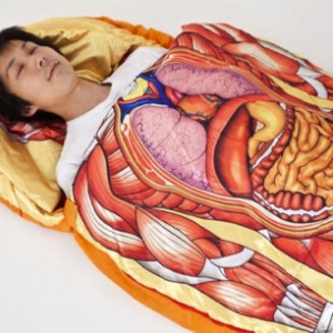 可怕的解剖睡袋