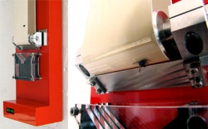 食肉的生物能时钟