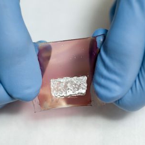 新型人造敏感皮肤